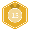 Level 15