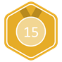 Level 15