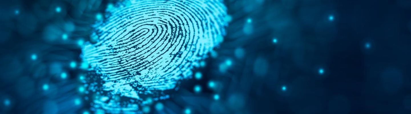 New Course Alert: Smart Insights!