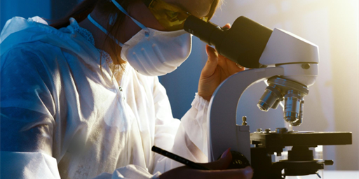 New Course Alert: Simplified Editing Mode for the SME Persona in Trados!