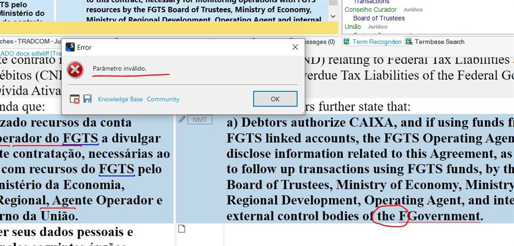 Error message 'INVALID PARAMETER' in Trados Studio with the cursor missing after attempting to insert text before a word.