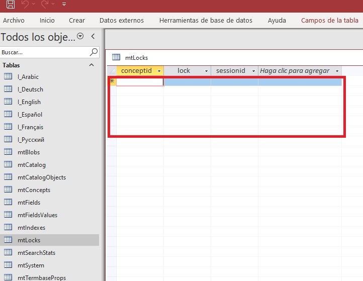 Microsoft Access database window showing an empty 'mtLocks' table with a red frame indicating where locked items would appear.