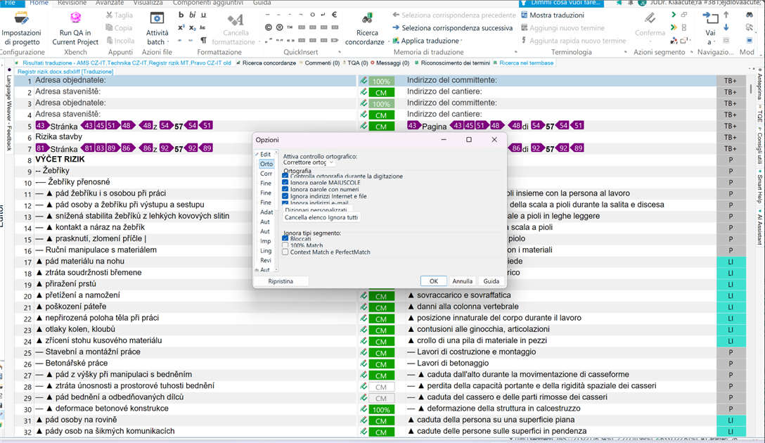 Trados Studio interface showing a translation results window with text in multiple languages and a smaller 'Options' window open in the foreground displaying spell check settings.
