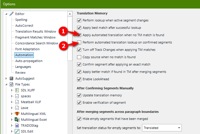 Screenshot showing two settings that might influence the return of a machine translation result.