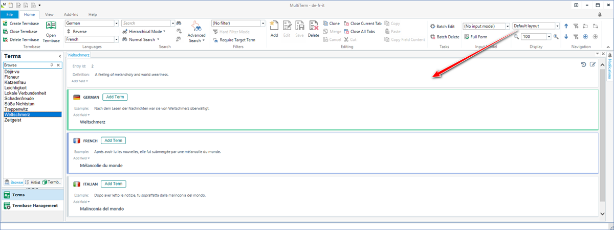 Screenshot of MultiTerm software showing the default layout with a term entry for 'Weltschmerz' in German, French, and Italian with definitions and examples.