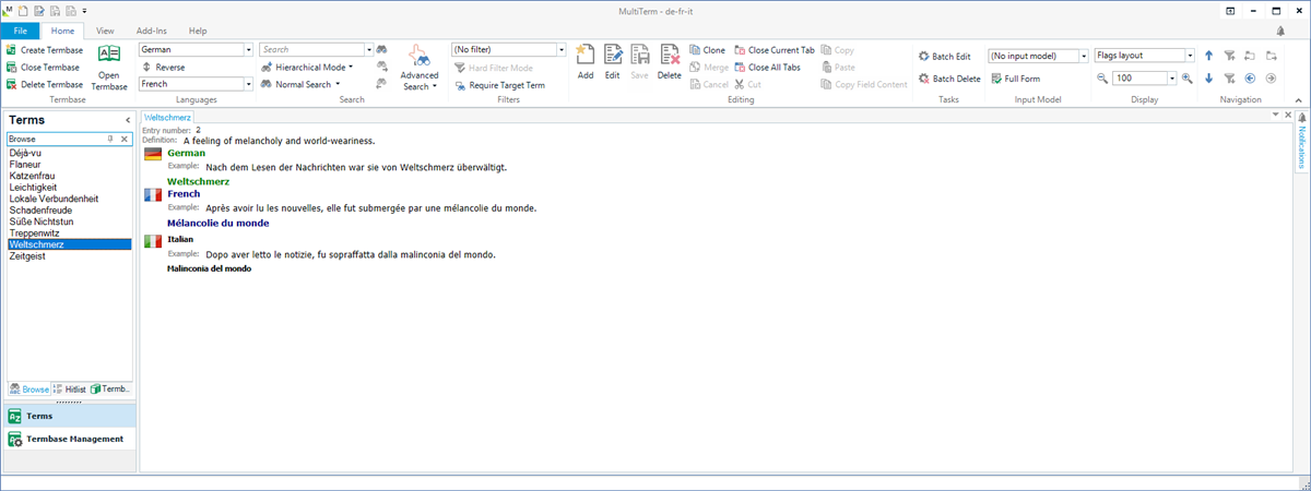 Screenshot of MultiTerm software with the Flags layout selected, displaying term entries without visible flags or icons, focusing on the term 'Weltschmerz'.