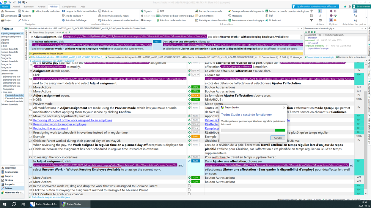 Screenshot of Trados Studio editor with a crash error message in French and a progress bar indicating 'Windows signale le probl me   Microsoft.'