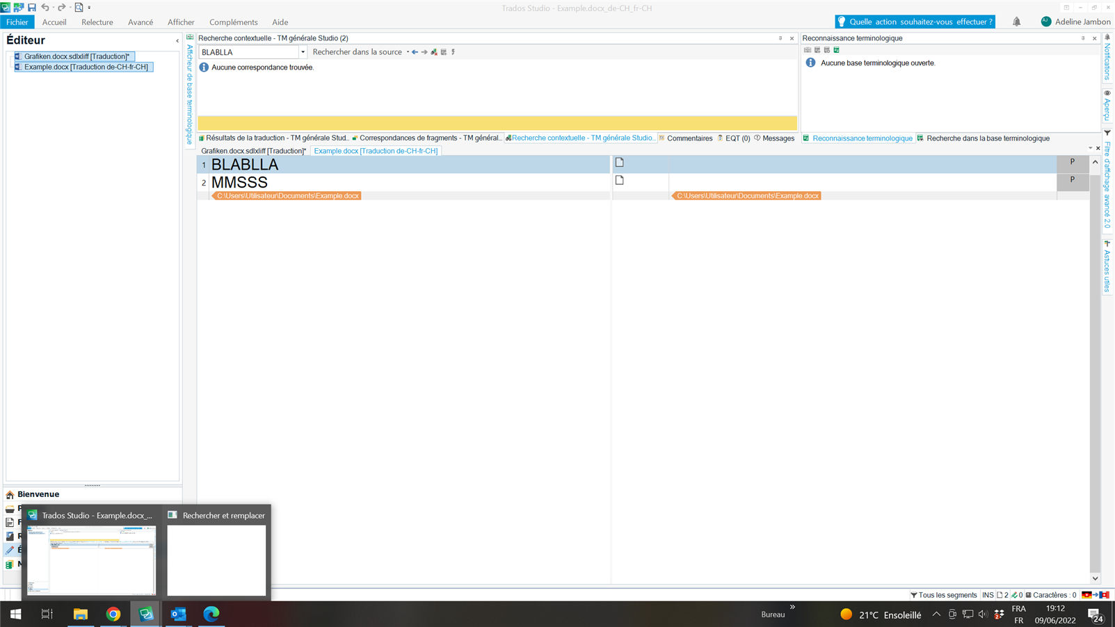 Screenshot of Trados Studio with a non-functional 'Search and replace' window open, displaying a blank area instead of search options.