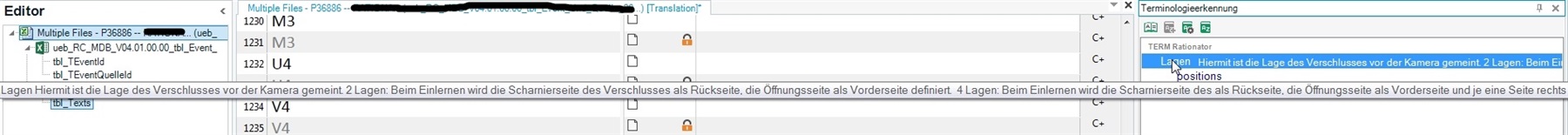 Screenshot of Trados Studio Ideas Editor with a warning for multiple file handling and a terminology recognition error highlighted in the translation segment.