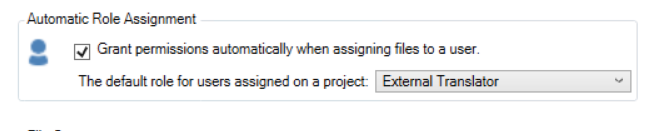 Screenshot of the Automatic Role Assignment section with a checkbox labeled 'Grant permissions automatically when assigning files to a user' checked. Dropdown shows 'External Translator' as the default role.