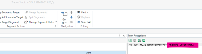 Screenshot of Trados Studio software with a Term Recognition pane showing an entry: Fig. 100, MLB Terminology Provider, Angelica (Spolene sidly).