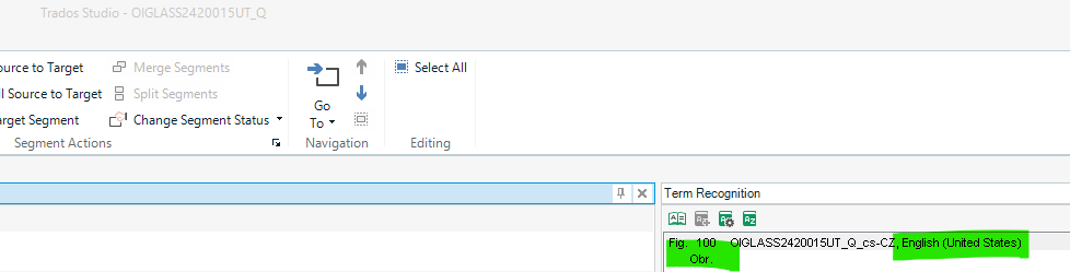 Screenshot of Trados Studio software with a Term Recognition pane showing 'Fig. 100' and a term 'OIGLASS2420015UT_Q' highlighted in green.