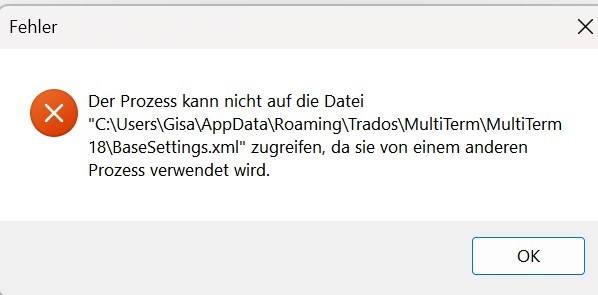 Error message in German stating 'The process cannot access the file' with a file path to BaseSettings.xml because it is being used by another process. Includes an 'OK' button.