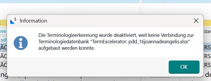 Information message in German stating 'Terminology recognition was deactivated because no connection to the terminology database TermExcelerator could be established'. Includes an 'OK' button.