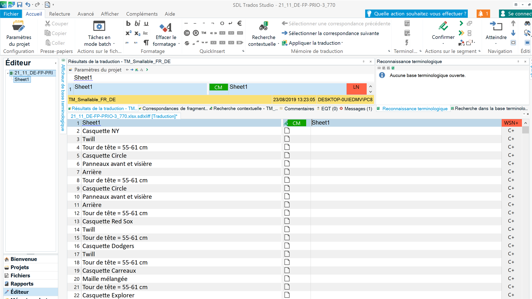 Trados Studio editor screen with a file open but no translations displayed in the cells, requiring manual clicking for translations to appear.