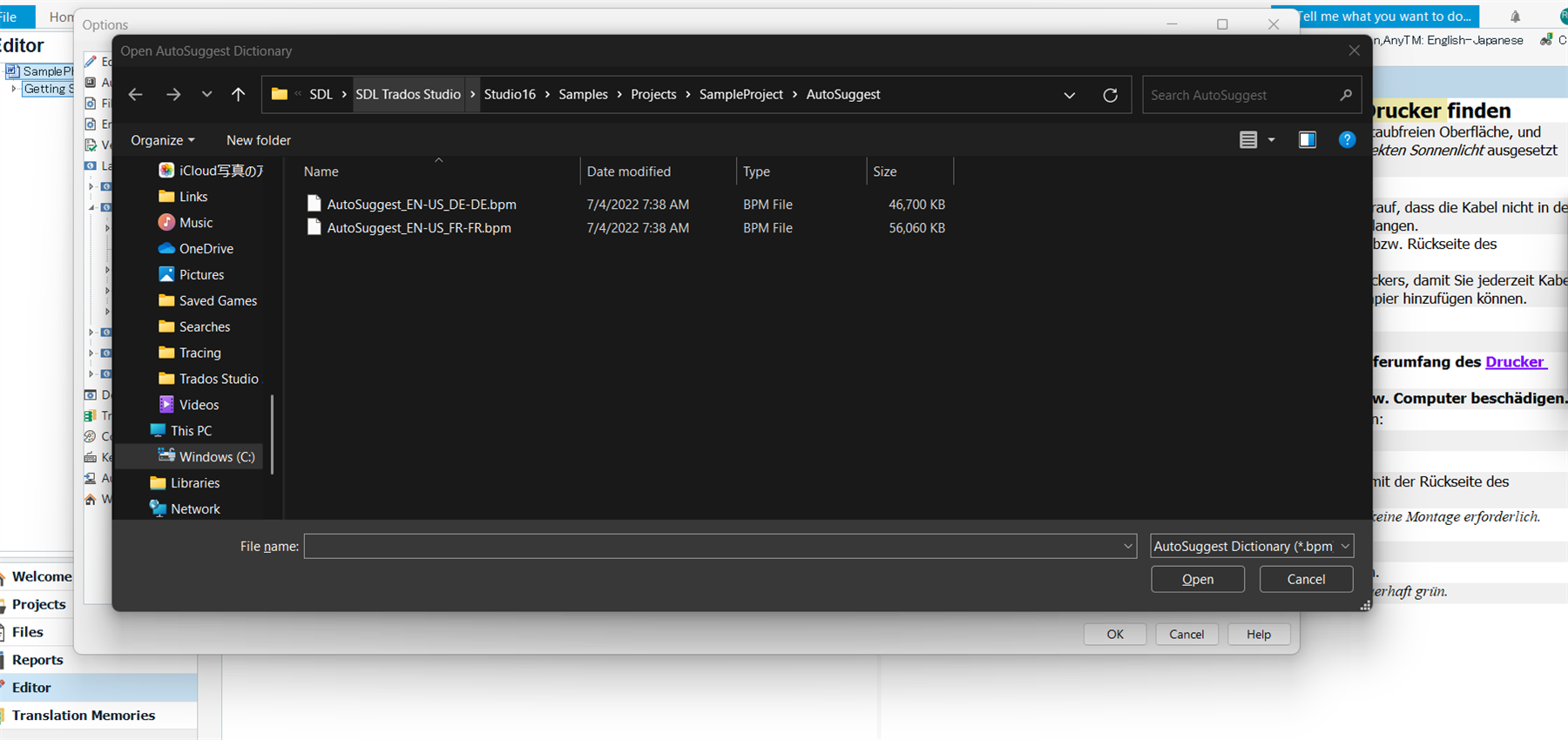 File explorer window open to the AutoSuggest folder within Trados Studio sample projects showing two files: AutoSuggest_EN-US_DE-DE.bpm and AutoSuggest_EN-US_FR-FR.bpm.