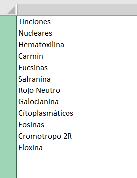 Screenshot of Trados Studio displaying a cell with multiple words, each on a new line, without any visible errors or warnings.