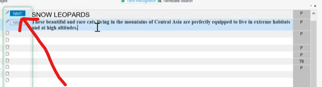 Screenshot highlighting the absence of 'NMT' status in the Trados Studio translation results pane.