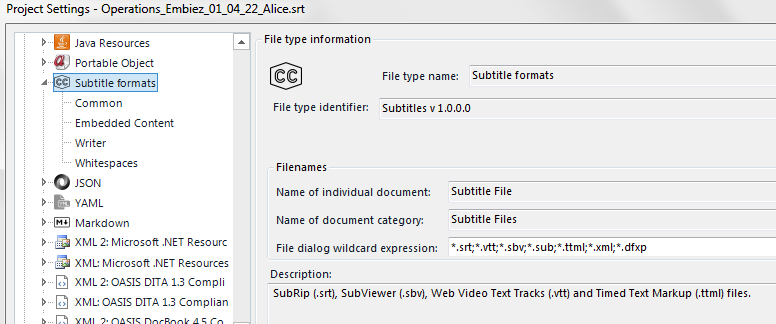 Trados Studio Project Settings showing 'Subtitle formats' file type with identifier 'Subtitles v1.0.0.0' and supported file extensions.