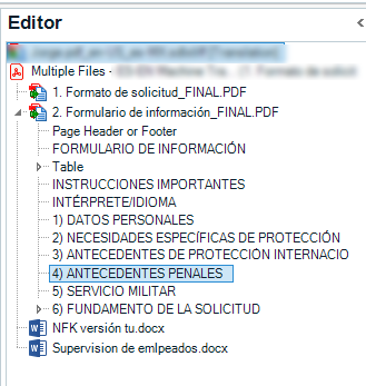 Trados Studio Editor view showing a document tree with multiple files. The file '1. Formato de solicitud_FINAL.PDF' is highlighted indicating it's the active file being worked on. There are warning symbols next to 'NFK versi n tu.docx' and 'Supervisi n de empleados.docx'.