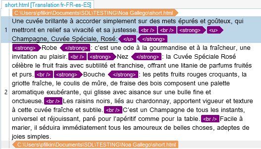 Screenshot of Trados Studio showing text with HTML tags for strong and underline, with a file path at the bottom.