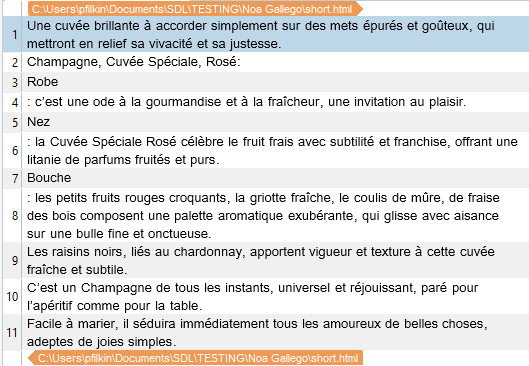 Screenshot of Trados Studio displaying formatted text without visible HTML tags, and a file path at the bottom.