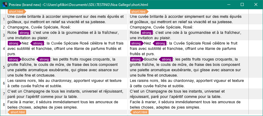 Screenshot of Trados Studio preview window with formatted text, highlighting the use of strong tags, and a file path at the bottom.