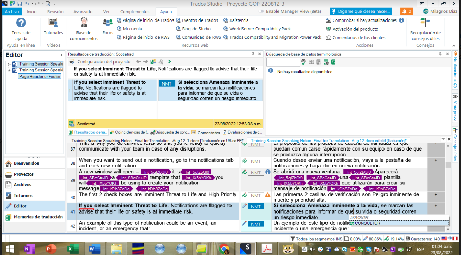 Trados Studio editor window with a highlighted term 'Imminent Threat to Life' and a term base search showing no results. Multiple warning messages are visible.