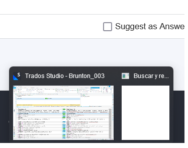 Thumbnail preview of Trados Studio application on Windows taskbar showing the program window with a 'Buscar y re...' dialog box partially visible behind it.