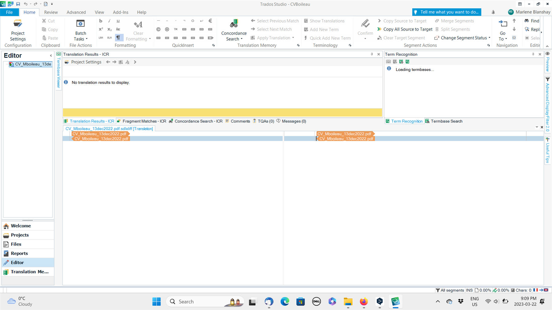 Trados Studio editor screen with a message 'No translation results to display.' and two PDF files listed in the Translation Results pane but not loaded into the editor.
