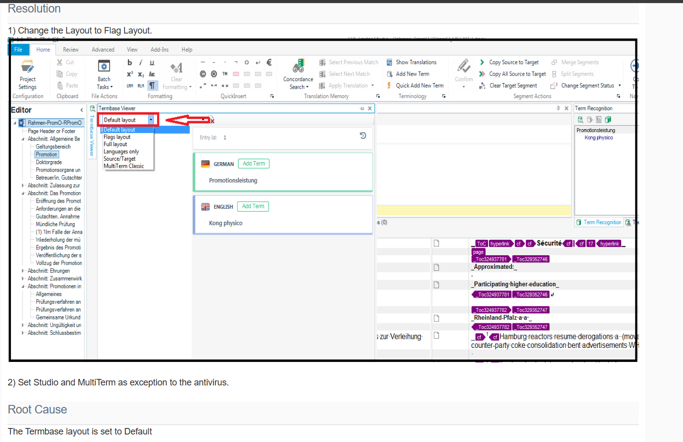 Screenshot of Trados Studio showing the TermBase Editor with 'Default layout' selected, and an arrow pointing towards the 'Flags layout' option in the dropdown menu.
