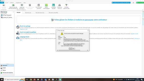 Trados Studio 2019 error message dialog box over the main interface, indicating a problem opening an xliff file with text in French and an 'OK' button.