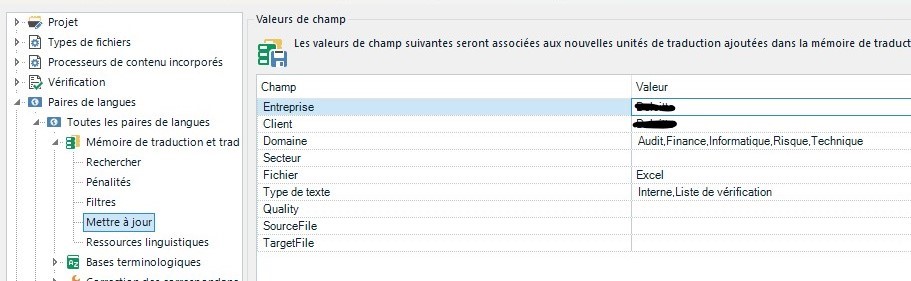 Screenshot of Trados Studio project settings displaying customized field values for translation memory such as 'Enterprise', 'Client', and 'Domain' with specific values assigned.