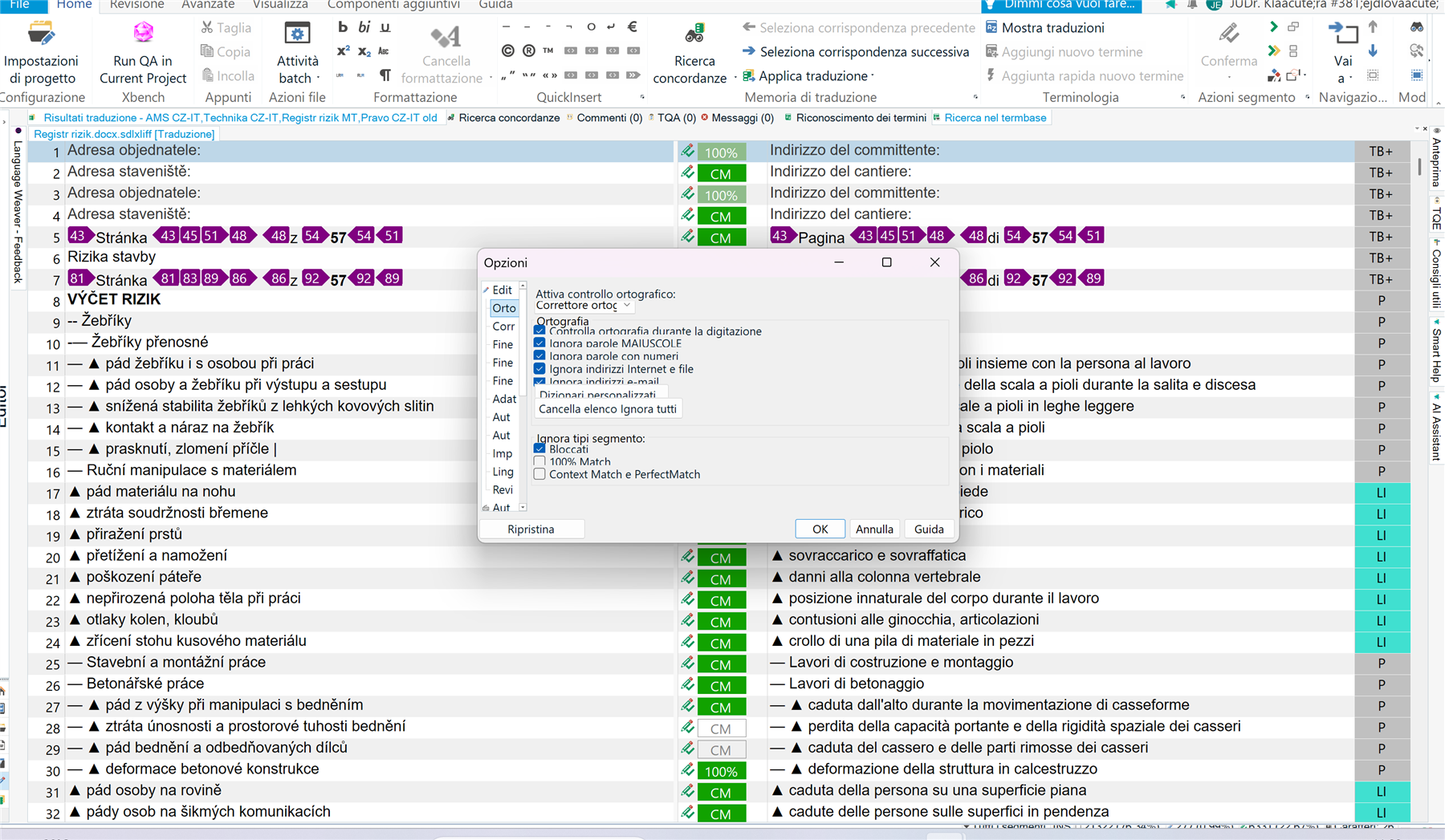 Trados Studio interface showing a translation project with a list of risks in Czech and Italian, and a small 'Options' window for spell check settings in the foreground.