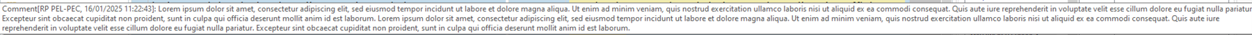 Screenshot showing a long comment in Trados Studio 2022 with text wrapping correctly across multiple lines. The comment includes placeholder text in Latin, starting with 'CommentRP PEL-PEC, 16012025 11:22:43'.
