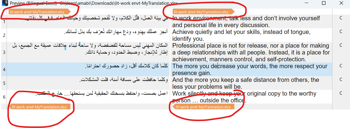 Screenshot of a bilingual Excel file preview in Trados Studio. The file name 'lit-work envt-MyTranslation.xlsx' is highlighted multiple times in orange at the top and bottom of the file.