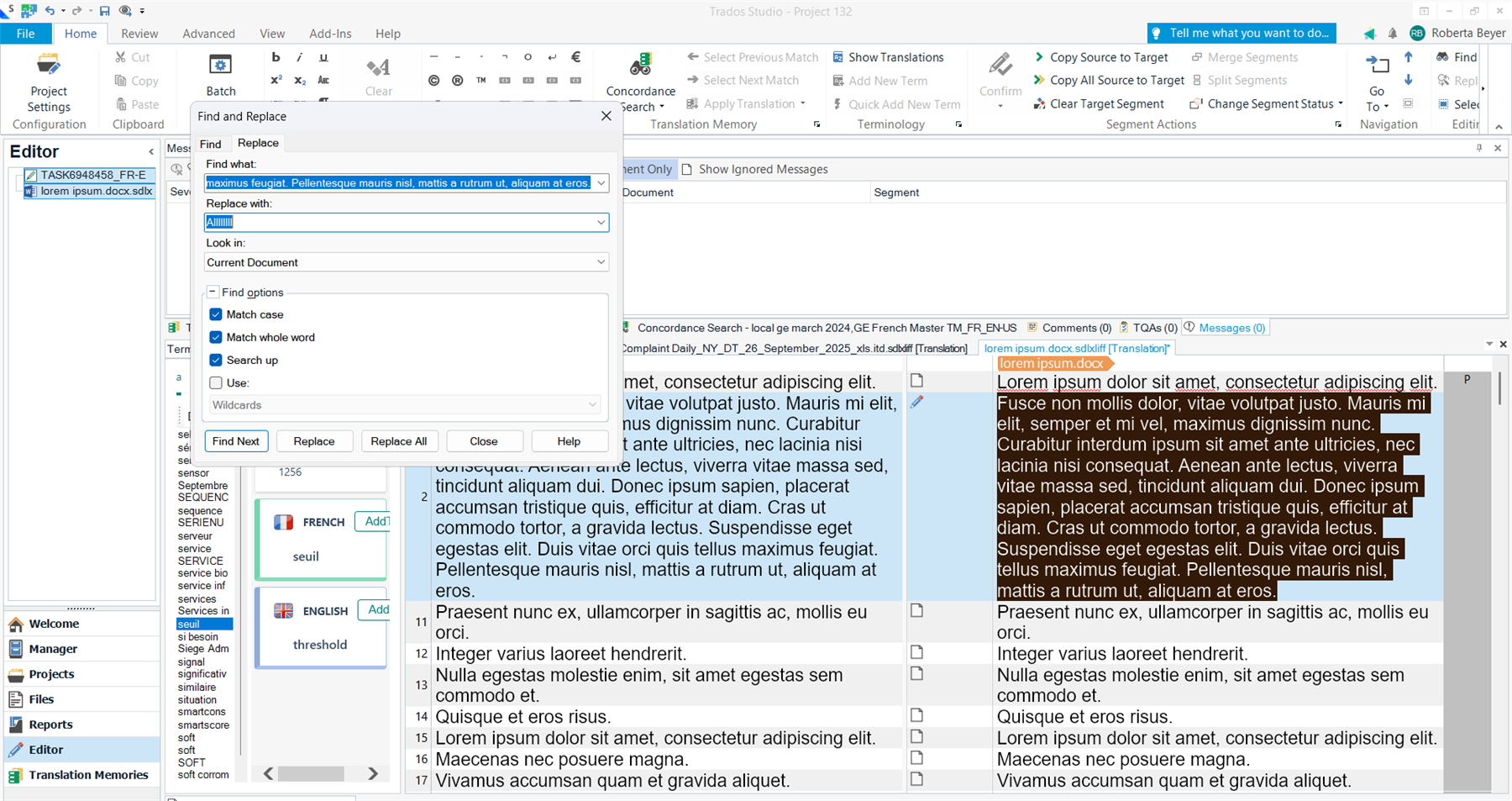Trados Studio 2024 interface showing the Find and Replace dialog box with text fields for 'Find what' and 'Replace with', and highlighted text in the editor panel.