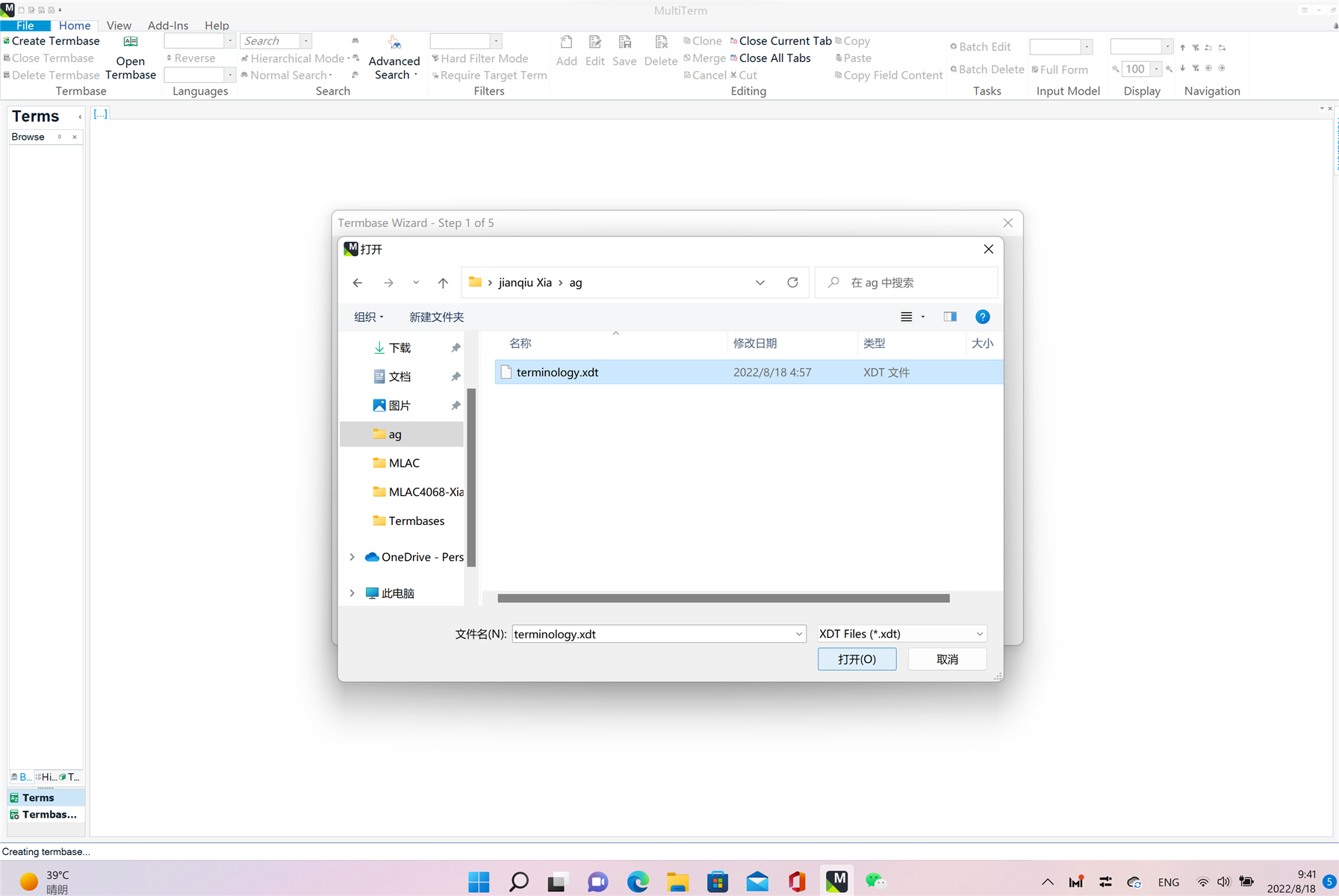 Trados MultiTerm Termbase Wizard showing file selection for 'terminology.xdt' with date and file type details.