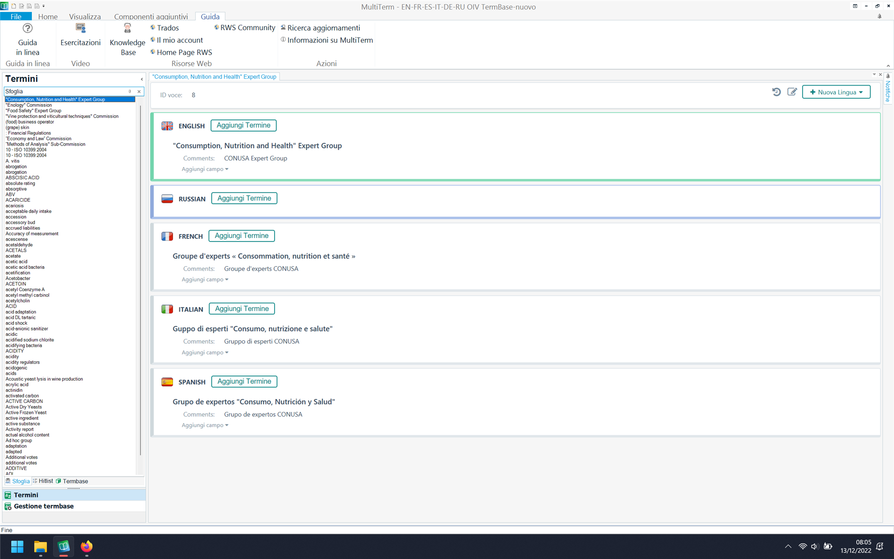 Trados Studio interface showing a termbase with entries in English, Russian, French, Italian, and Spanish. The term list on the left has very small font size, making it difficult to read.