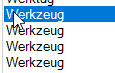 List of terms with four entries labeled 'Werkzeug', where the second entry is highlighted.