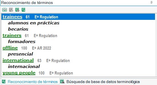 Screenshot of MultiTerm 'term recognition' window showing a list of terms with different font sizes and colors, indicating proper formatting.