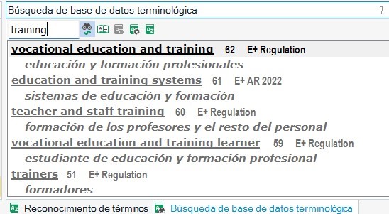 Screenshot of MultiTerm 'termbase search' window with a search for 'training' showing results in uniform font size and color, indicating formatting issues.