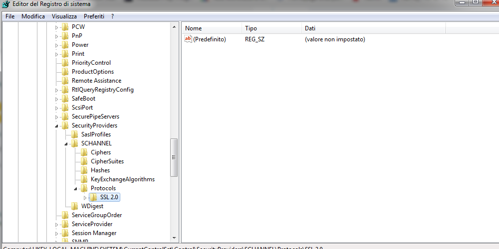 Screenshot of Registry Editor showing a list of registry keys. The 'Protocols' key is expanded to reveal a 'SSL 2.0' subkey, with no visible errors or warnings.