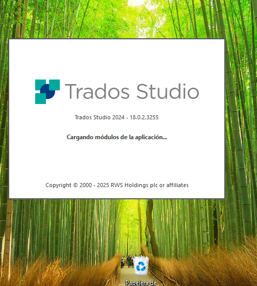 Trados Studio 2024 loading screen with the text 'Cargando m dulos de la aplicaci n' displayed over a bamboo forest background.