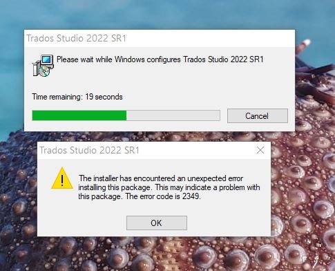 Installation progress window for Trados Studio 2022 SR1 with a message 'Please wait while Windows configures Trados Studio 2022 SR1' and a time remaining countdown at 19 seconds.