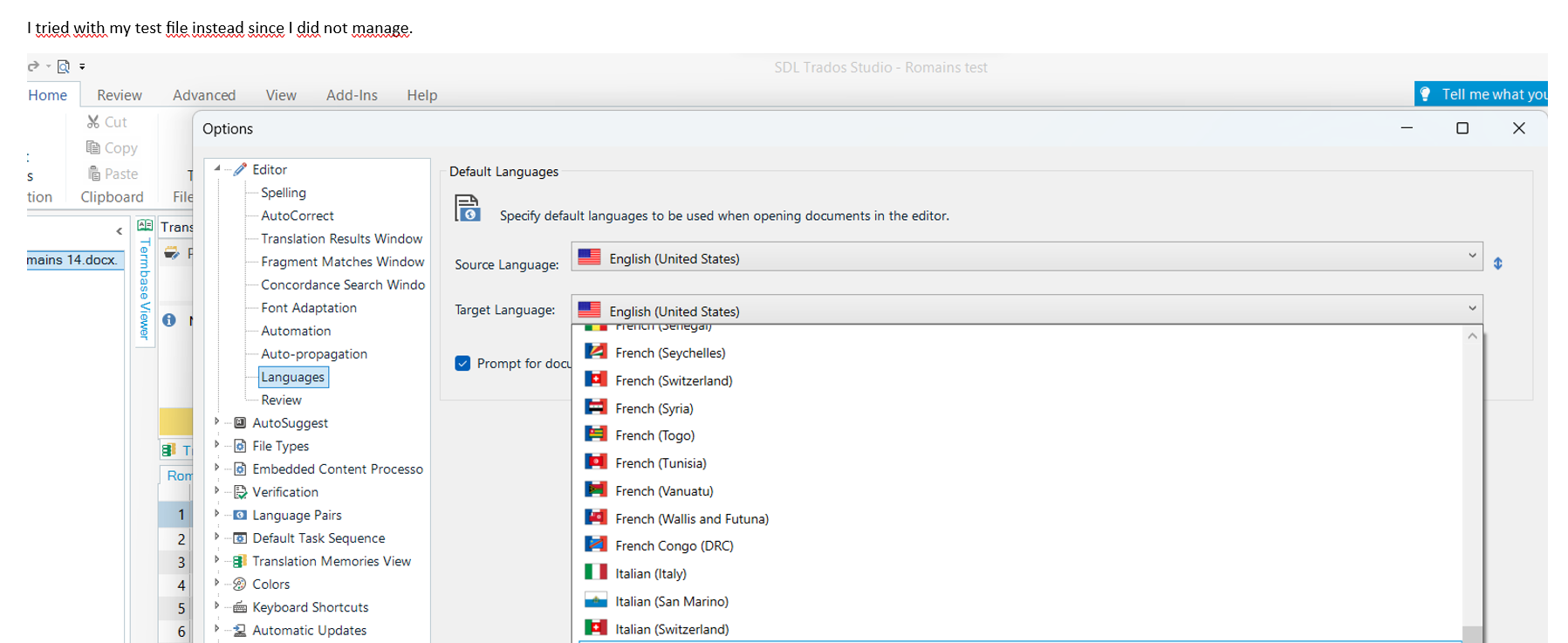 Trados Studio options menu with 'Default Languages' selected, showing English (United States) as both source and target language.