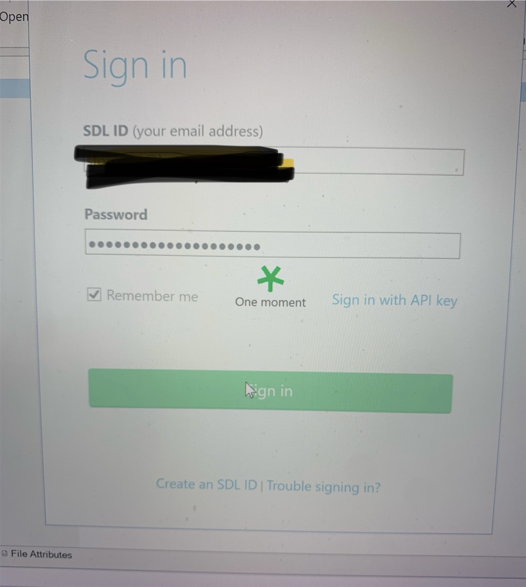 Screenshot of Trados Studio sign-in window with fields for SDL ID and password, a 'Remember me' checkbox, and a 'Sign in with API key' link. A green 'Sign in' button is visible, and a loading message 'One moment' is displayed, indicating a wait during the sign-in process.