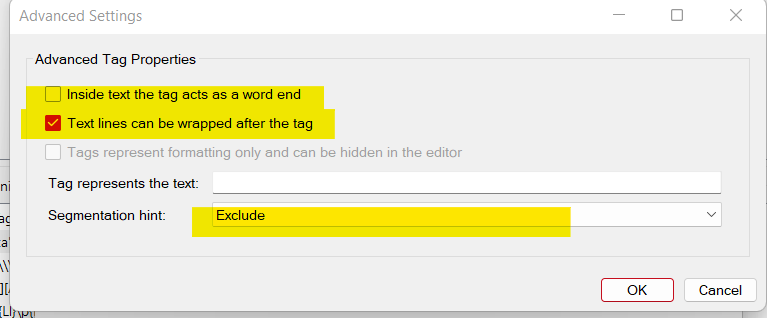 Screenshot of RWS AppStore Ideas advanced tag properties with 'Exclude' selected for the 'Segmentation hint'.