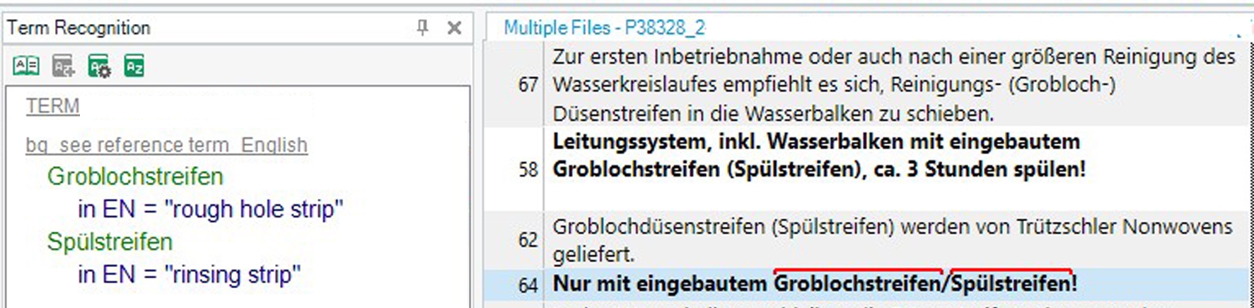 Screenshot of Trados Studio Ideas term recognition window with German term 'Groblochstreifen' translated to English as 'rough hole strip' and 'Spuelstreifen' as 'rinsing strip'.
