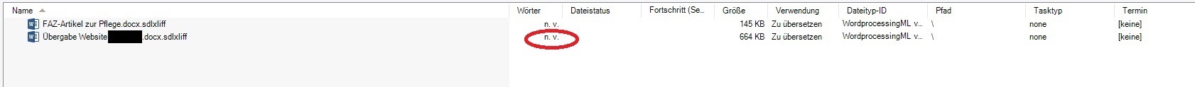 Trados Studio project files list showing a new source file with a red error icon and 'n.v.' indicating an issue with the file status.